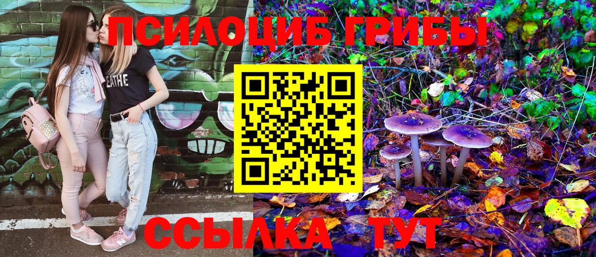 Псилоцибиновые грибы Psilocybe Белогорск