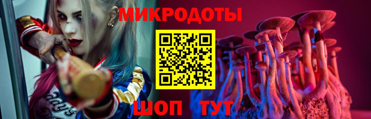 как найти   Вход с VPN  Белогорск  Галлюциногенные грибы GOLDEN TEACHER 